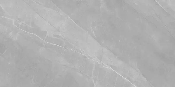 PULPIS GRIS_P2