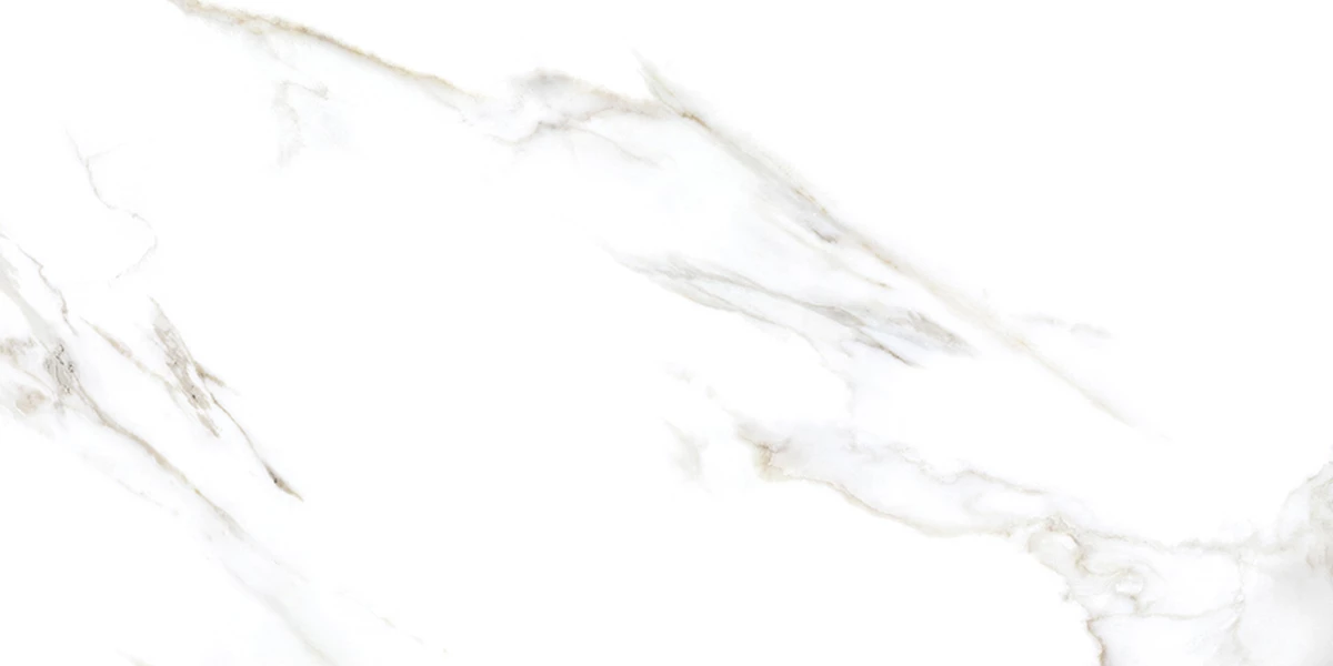 REGAL ARCTIC CRYSTAL_P4