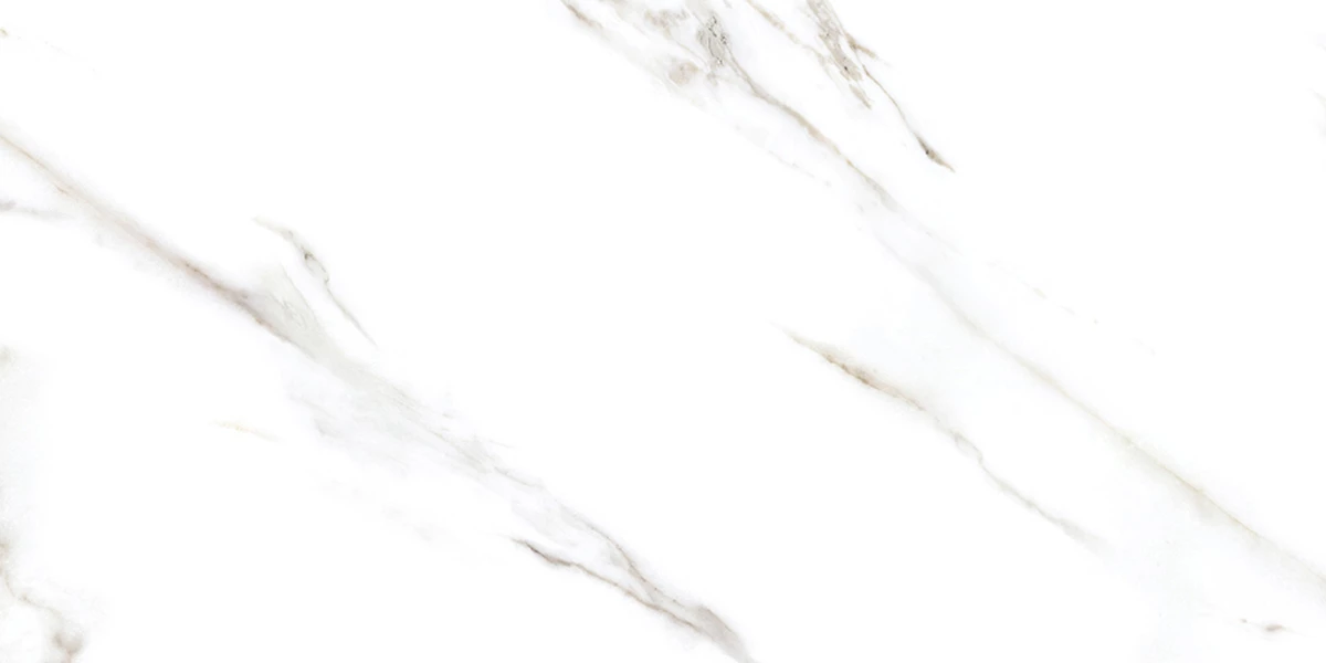 REGAL ARCTIC CRYSTAL_P2