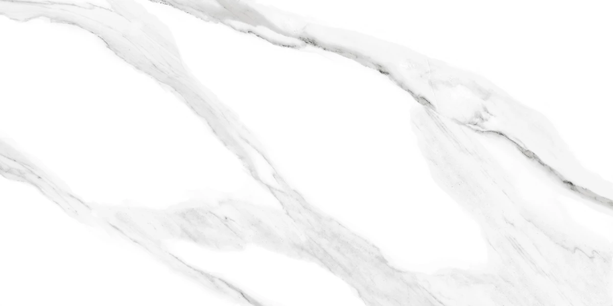 REGAL VERSO SATUARIO_P3