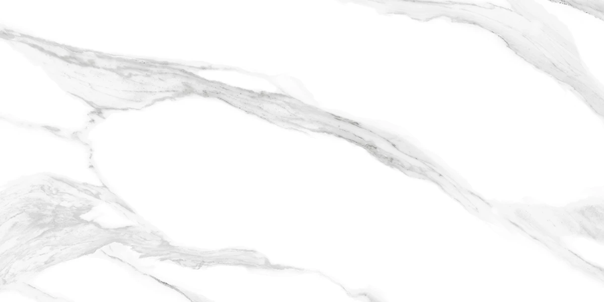 REGAL VERSO SATUARIO_P2