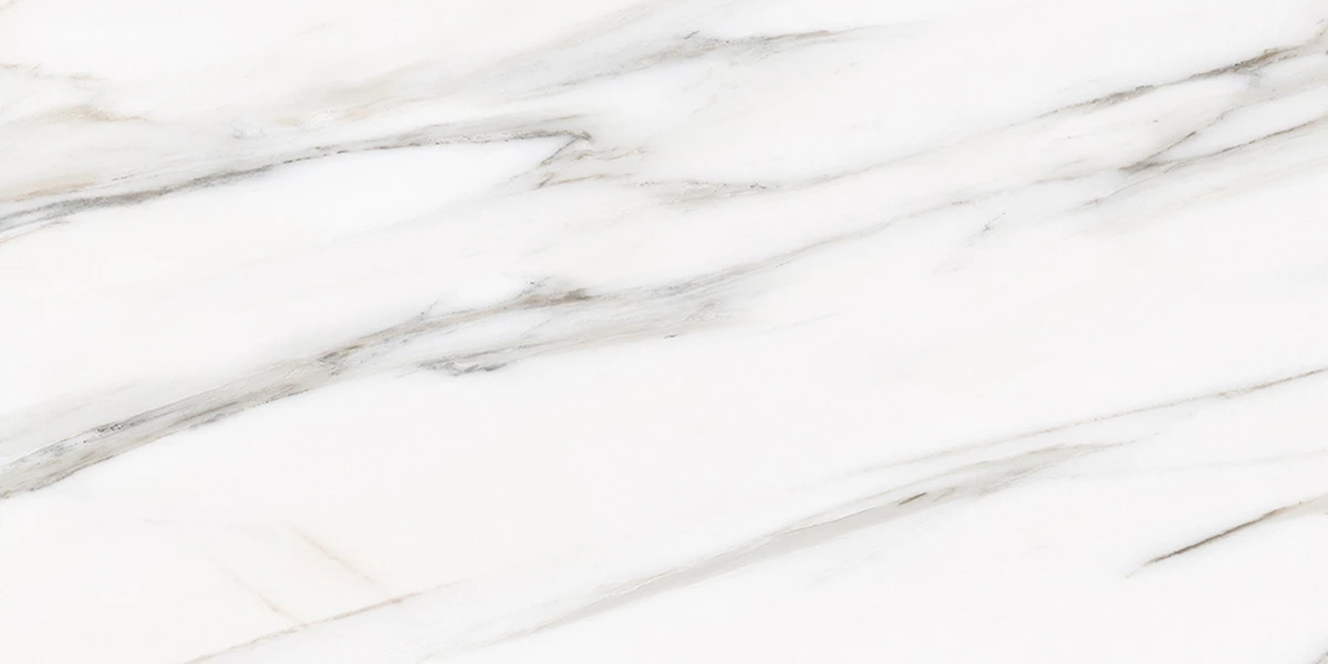 ROMA GREY_P4