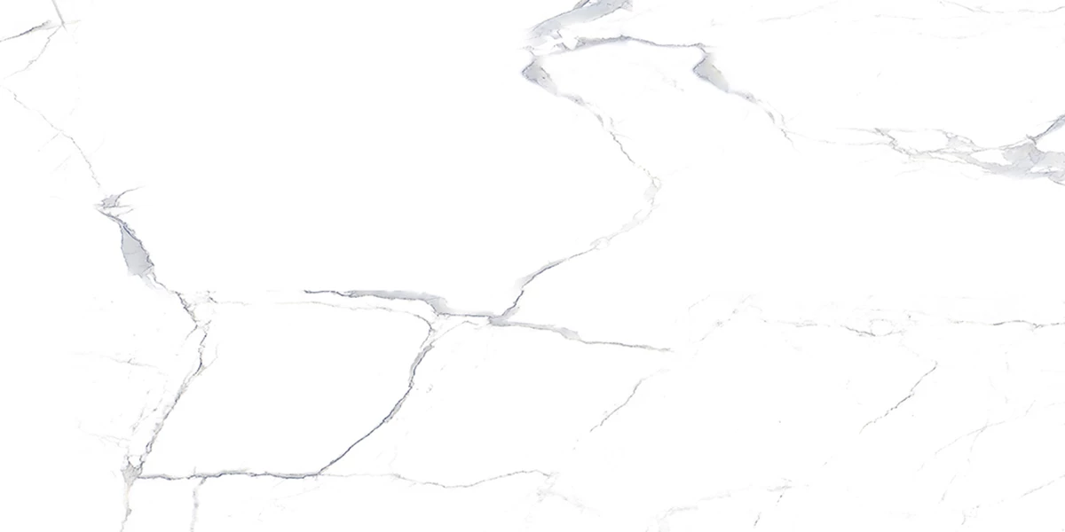 SATVARIO EVA_P3