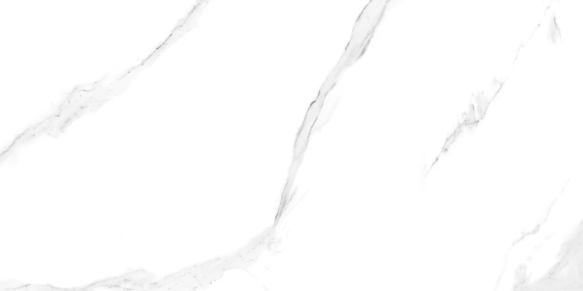 SATVARIO ICE_R4