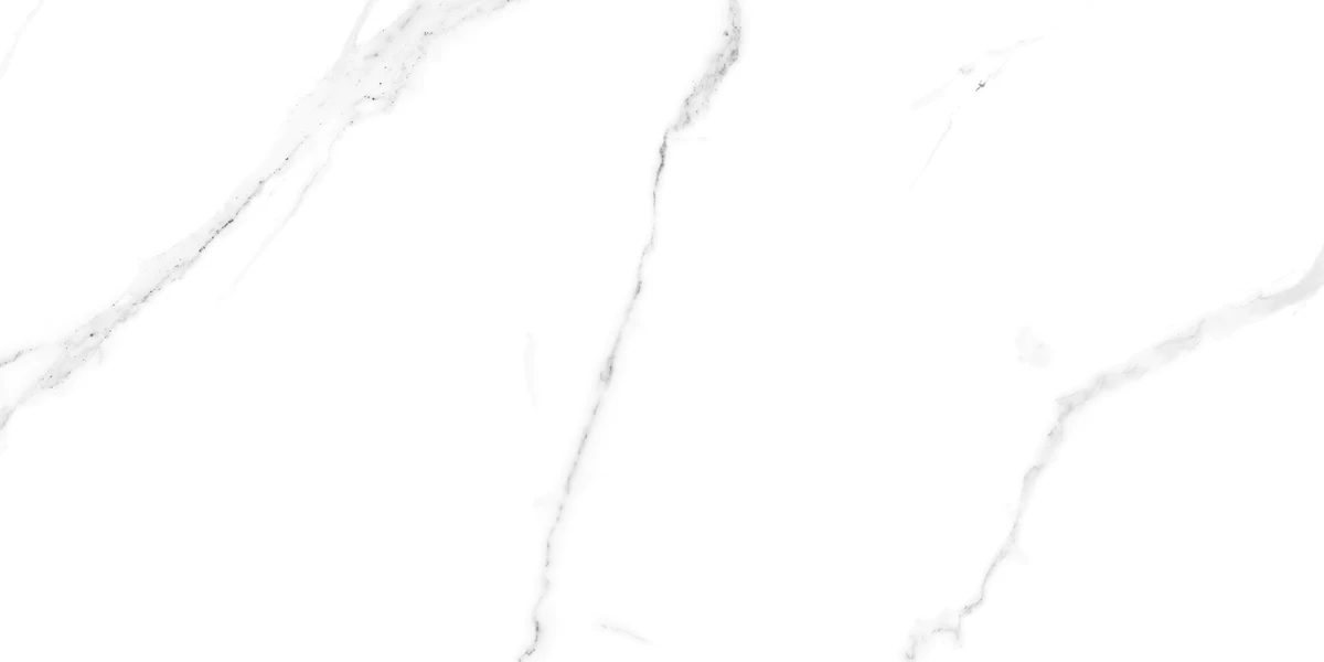 SATVARIO ICE_R3