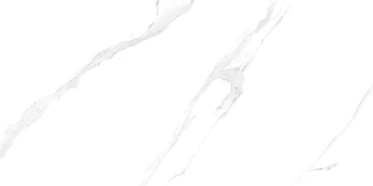 SATVARIO ICE_R2