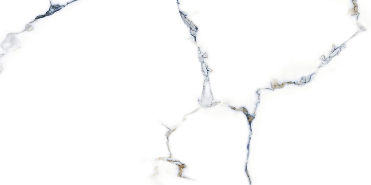 SPIDER WHITE_P2