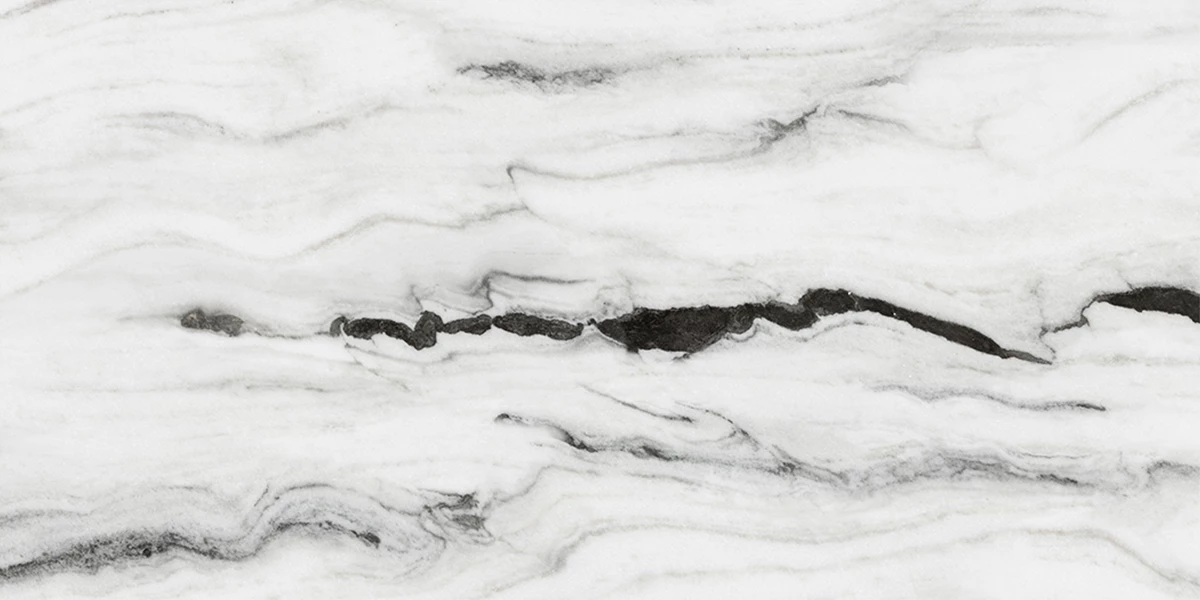 ZENET WHITE_P3
