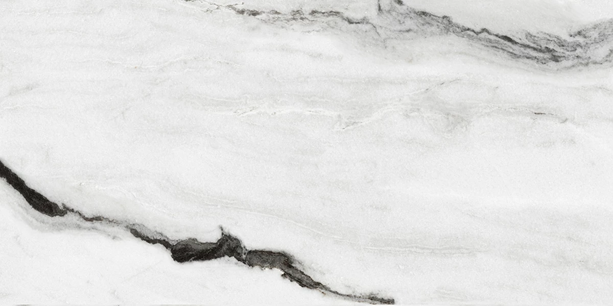 ZENET WHITE_P2