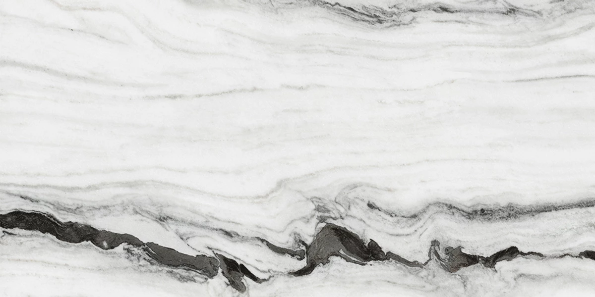 ZENET WHITE_P4