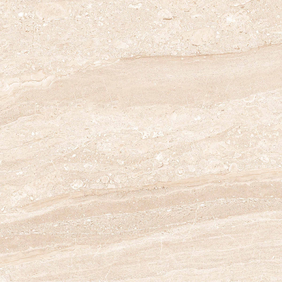 ACCRA CREMA_R2