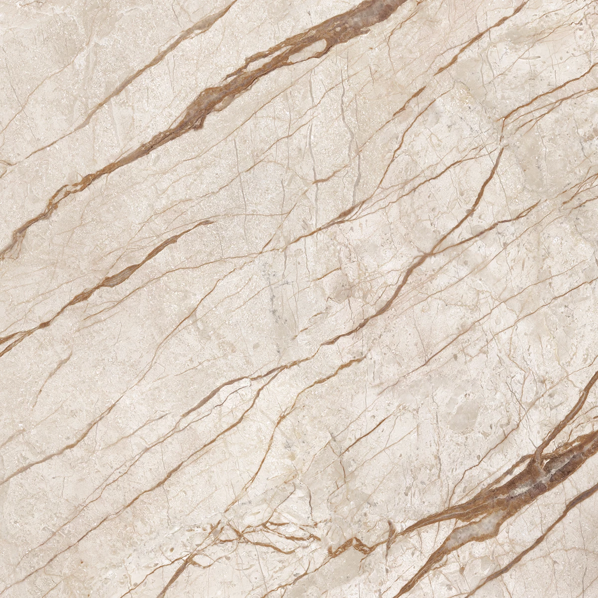 ANATOMY BEIGE R2