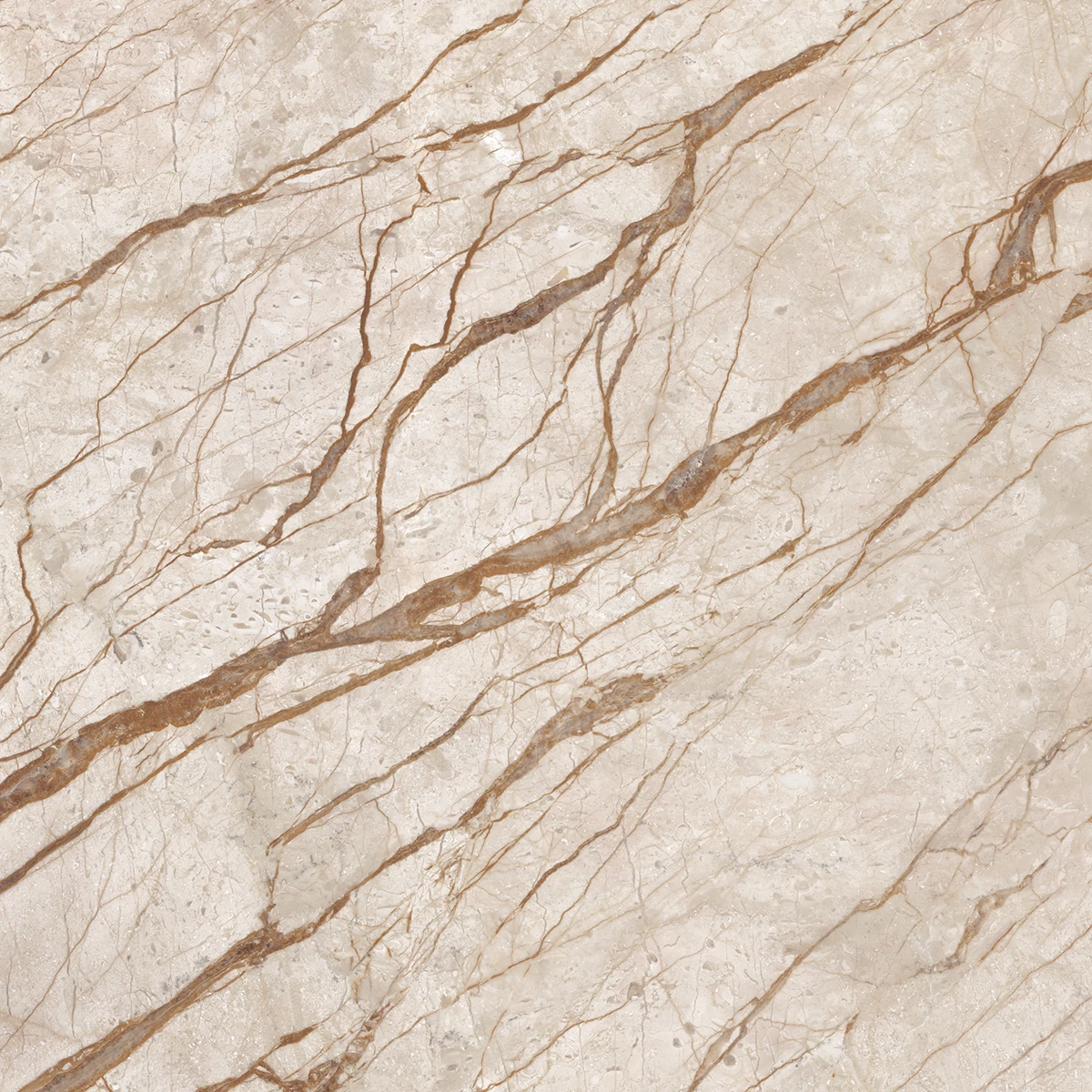 ANATOMY BEIGE R3