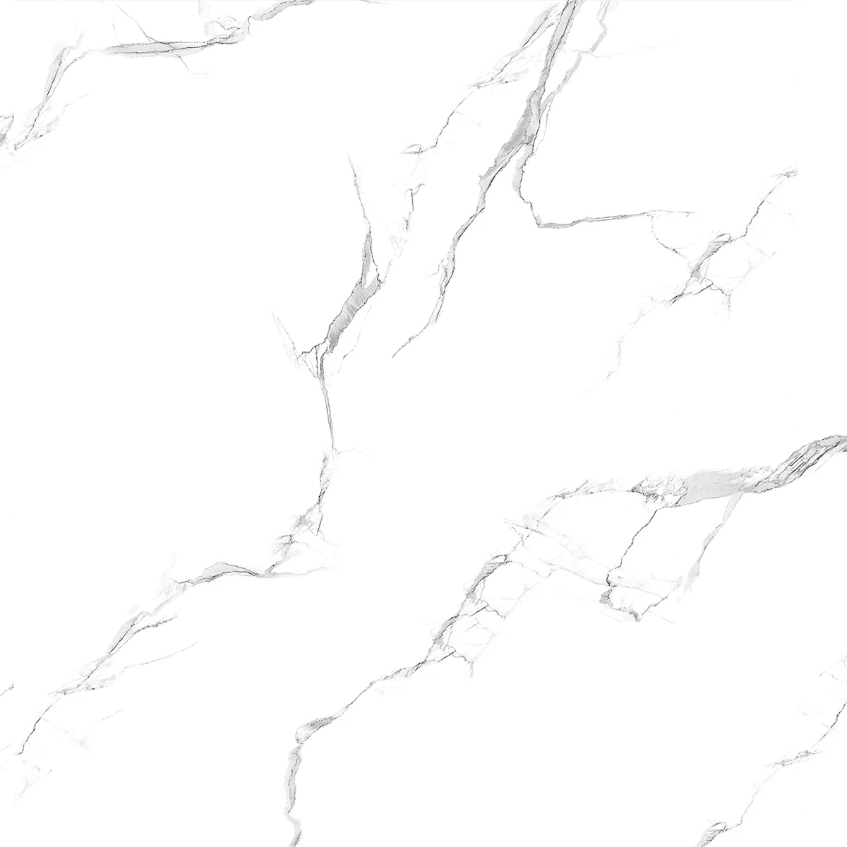 CANVAS STATUARIO R2