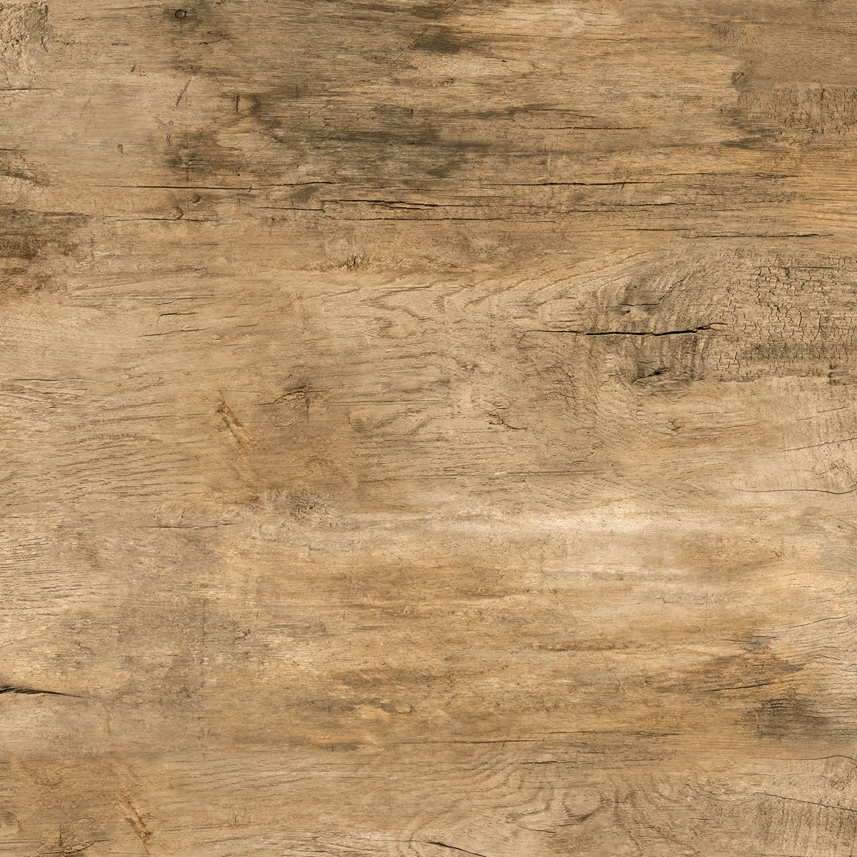 BLOSSAM WOOD BROWN_P3