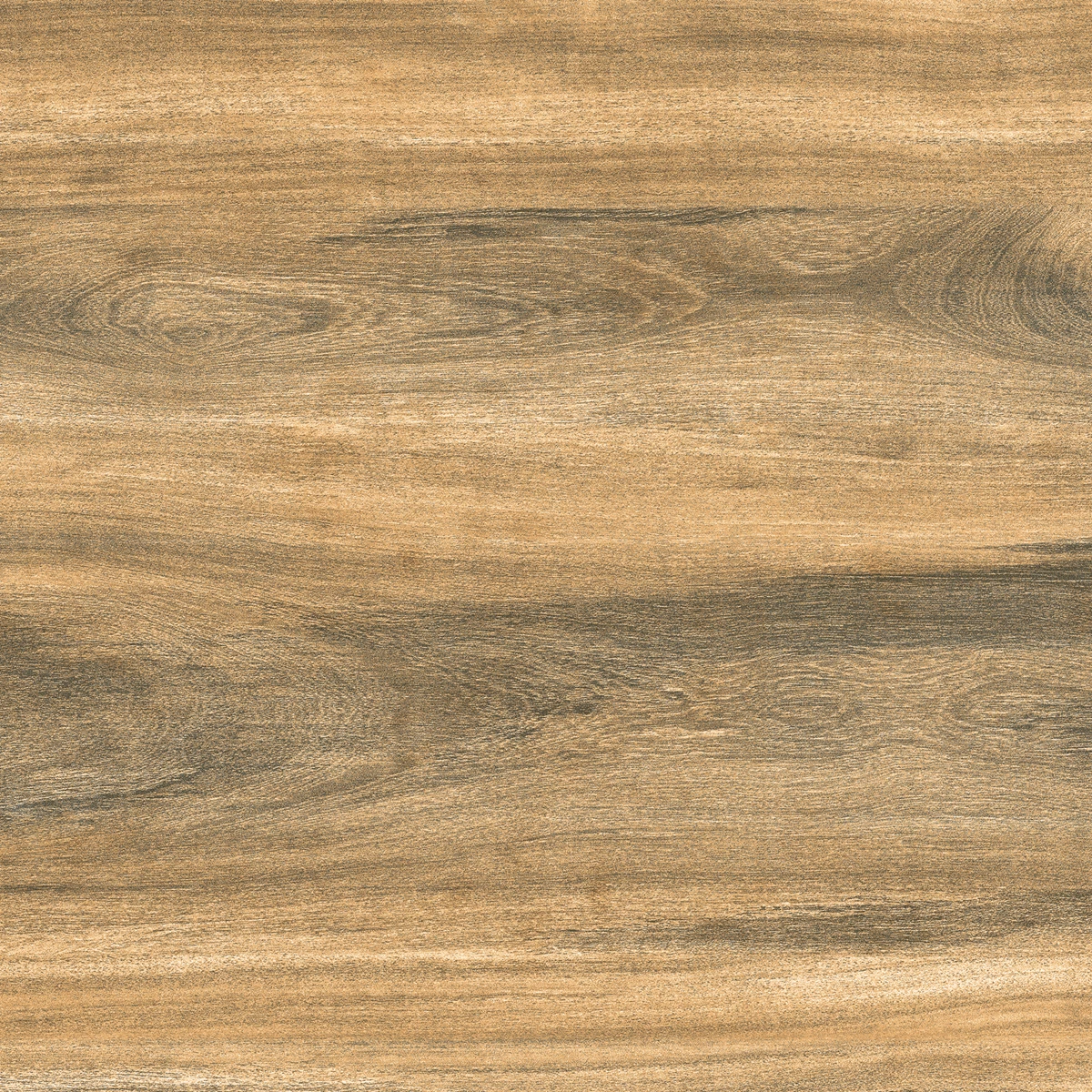 CHESSNUT BEIGE_R2