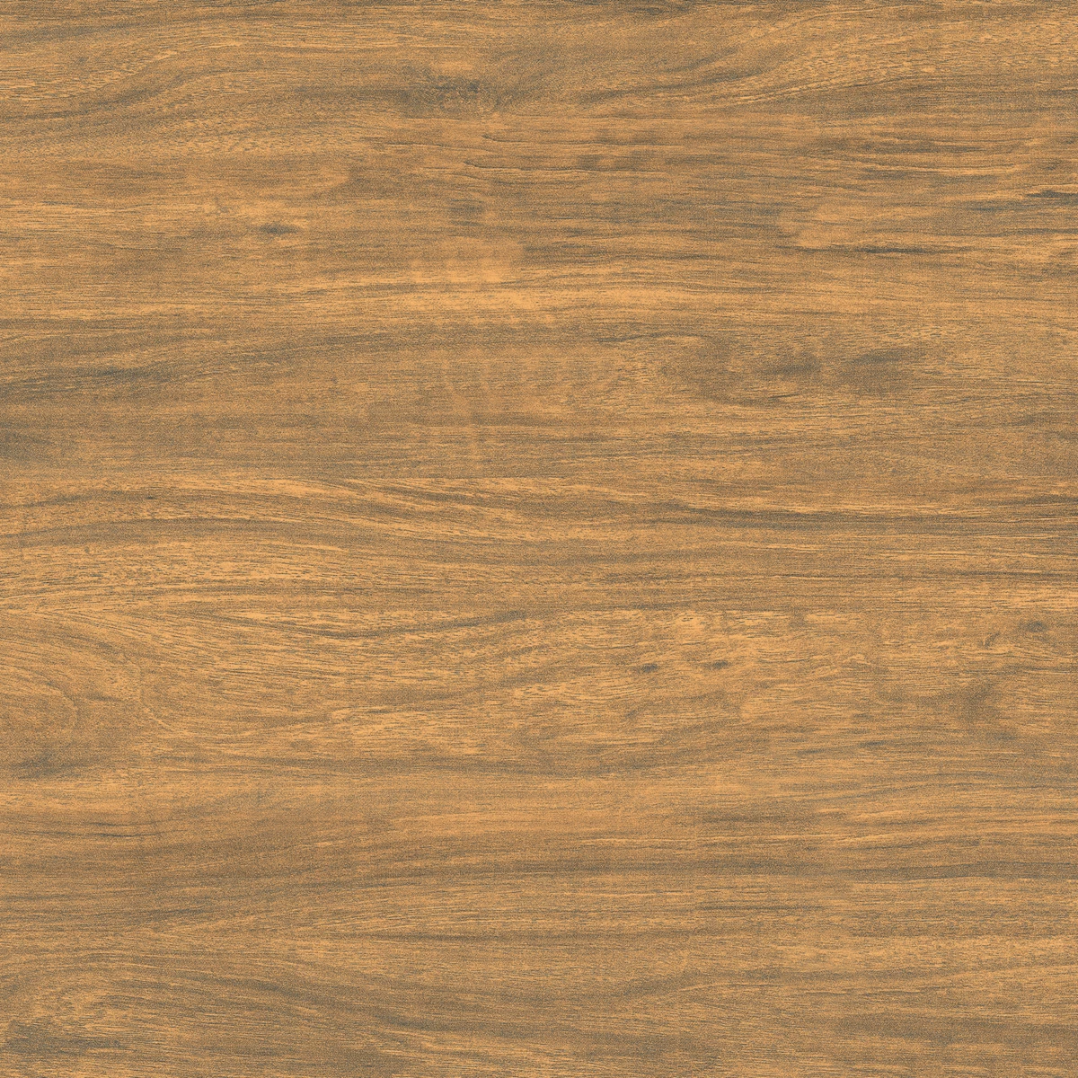 ROYAL WOOD_P4