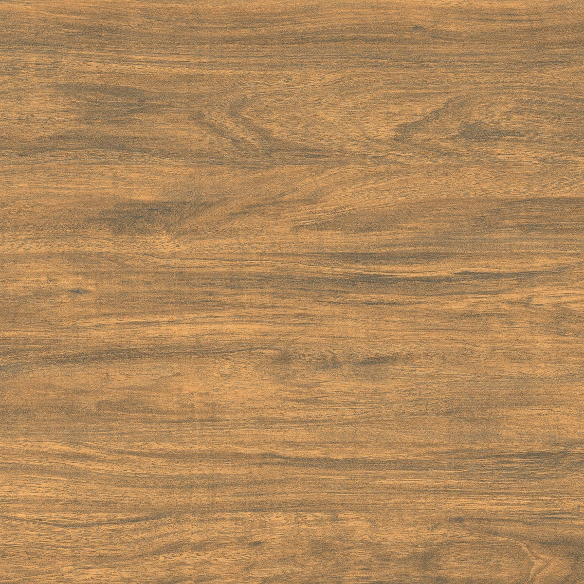 ROYAL WOOD_P3