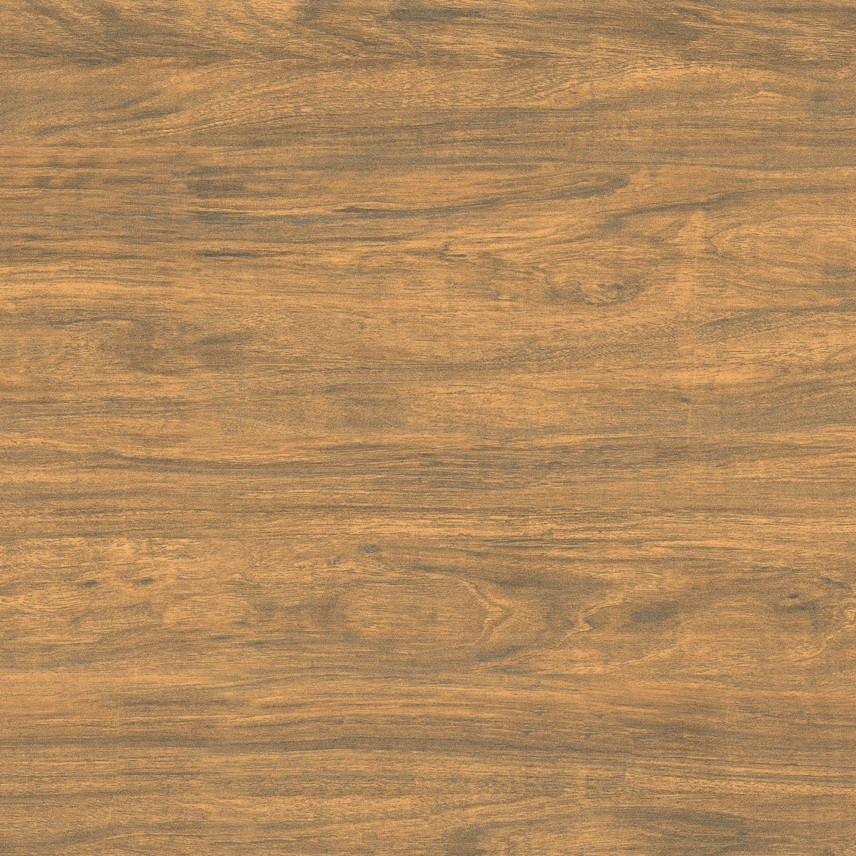 ROYAL WOOD_P2