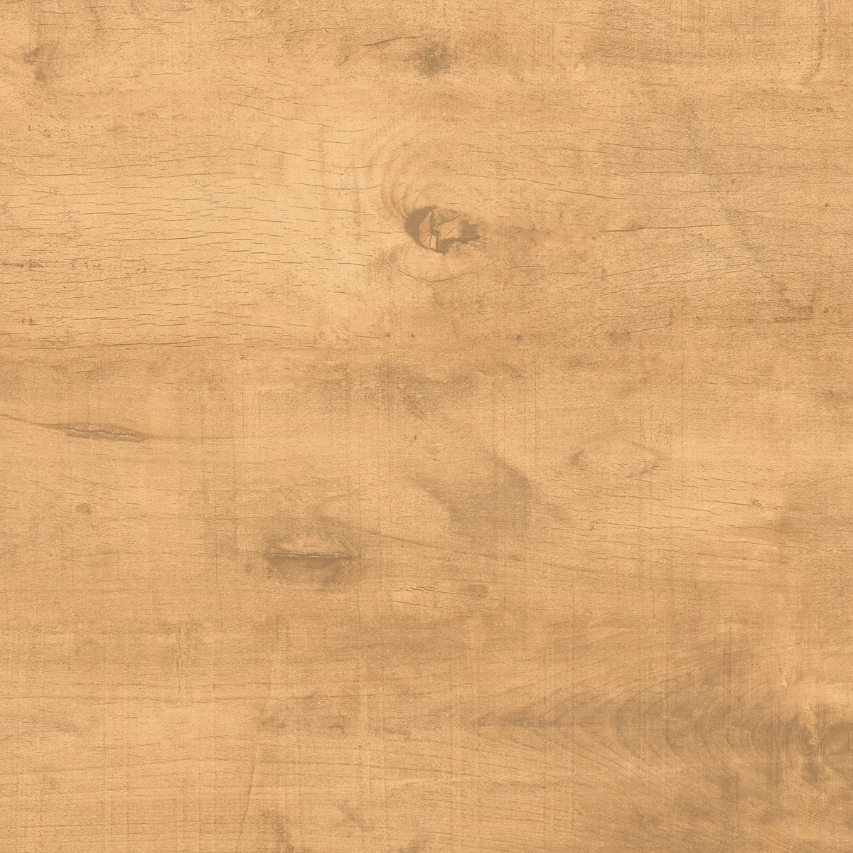 ROVER WOOD BEIGE_P3