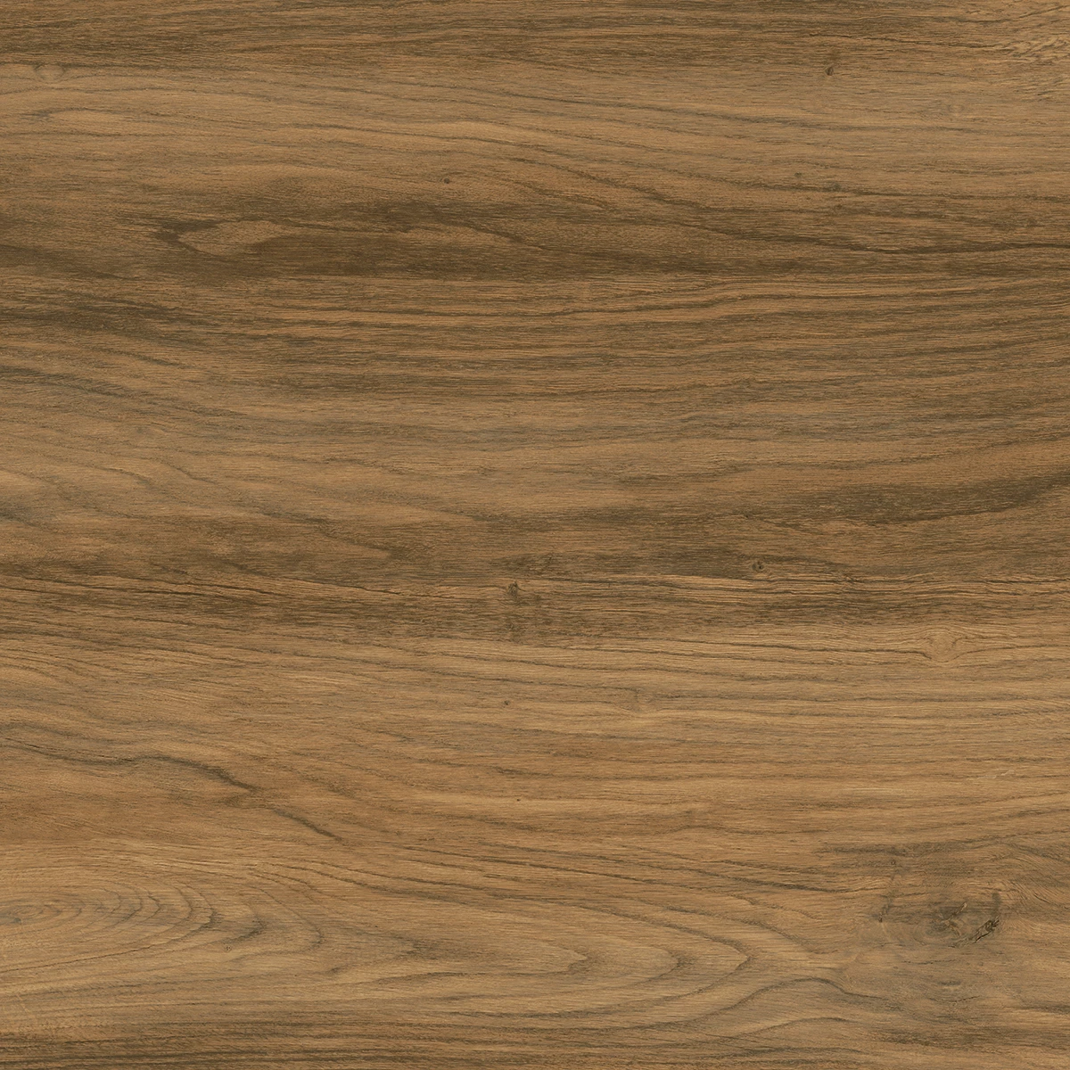 ROSSO WOOD_P4