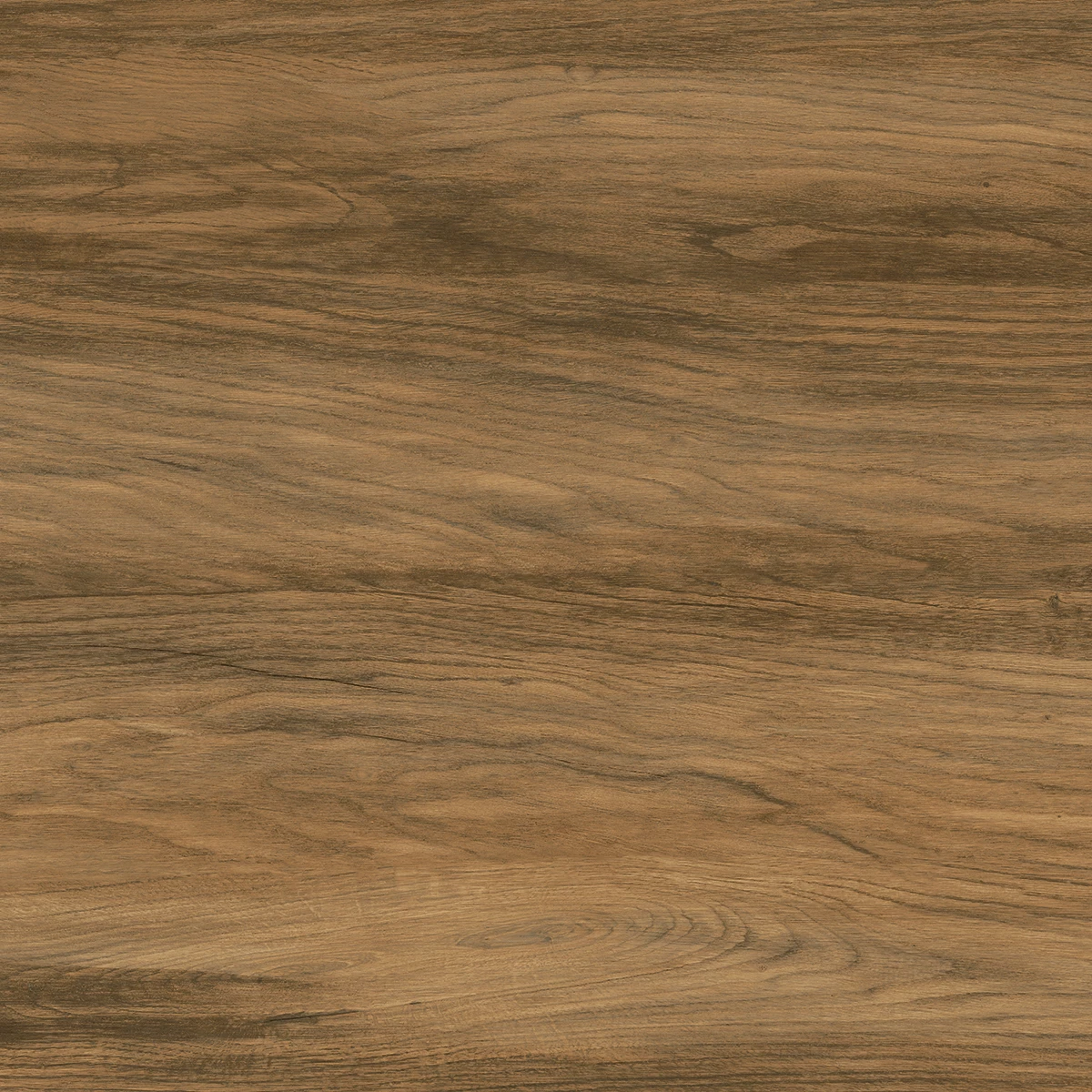 ROSSO WOOD_P5