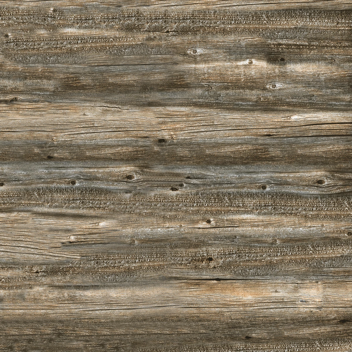 ECO WOOD NUT_P2
