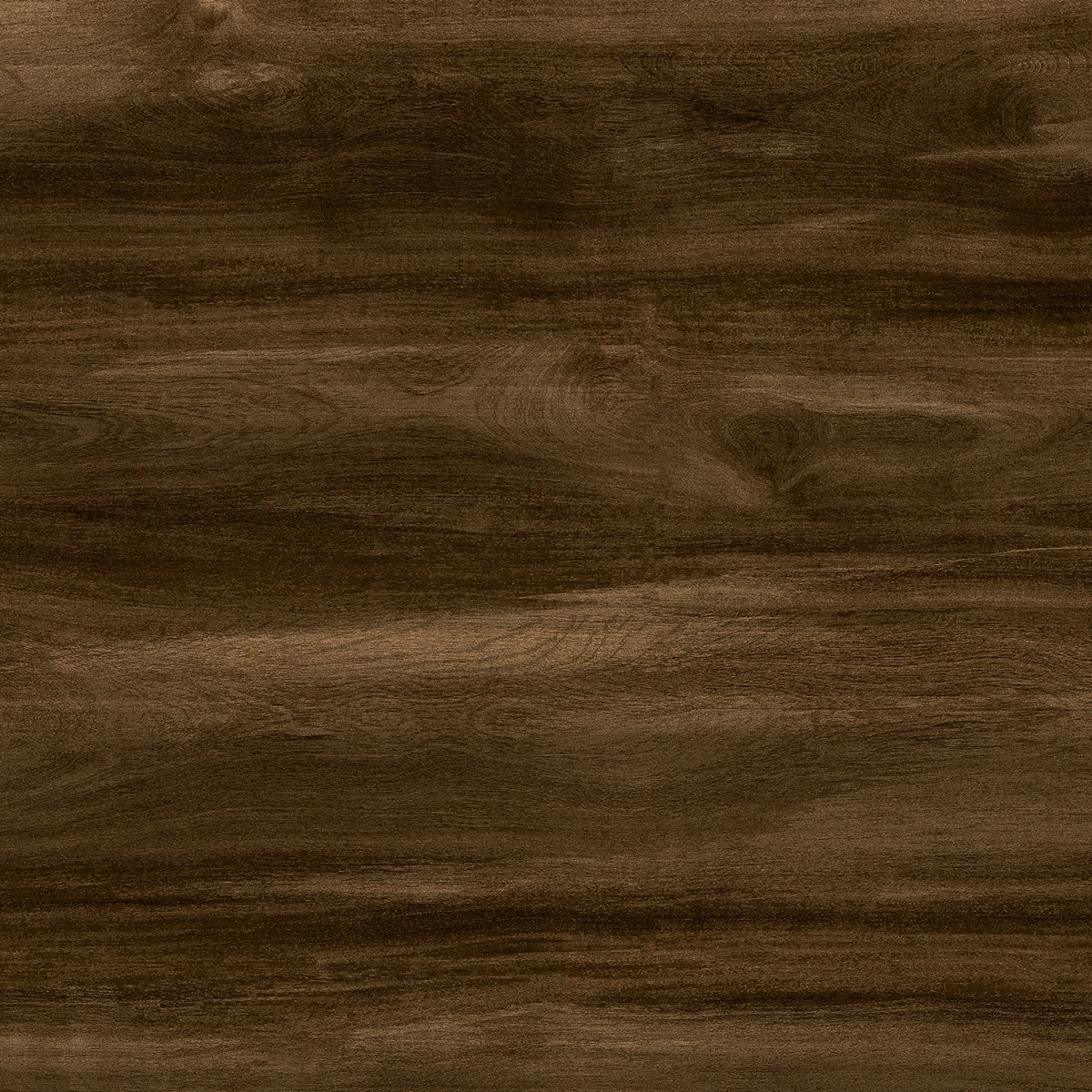 HICKORY CHOCO_P4