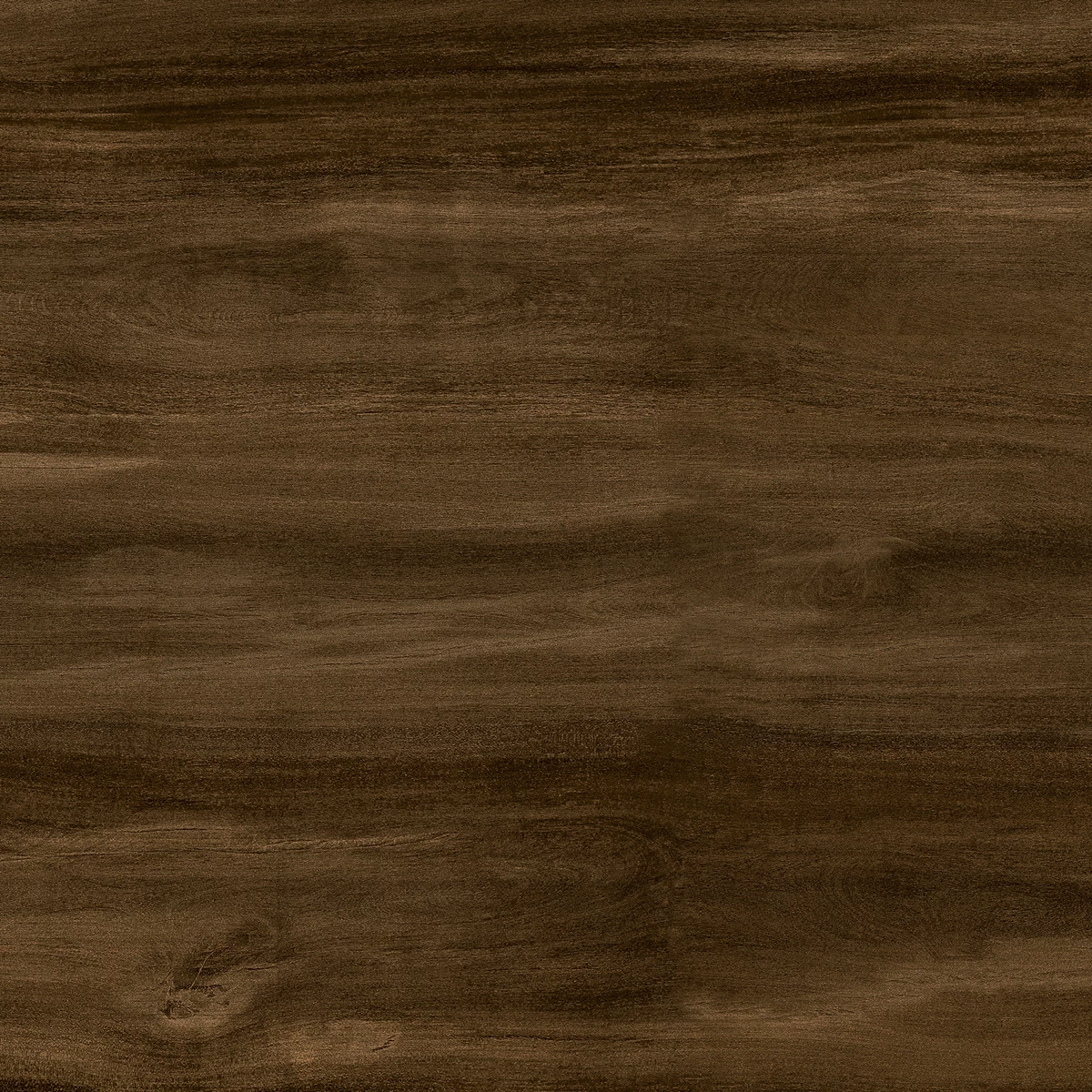 HICKORY CHOCO_P2