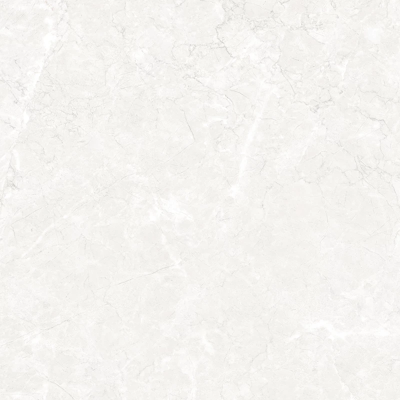 SUPRA WHITE(3363 L)-1