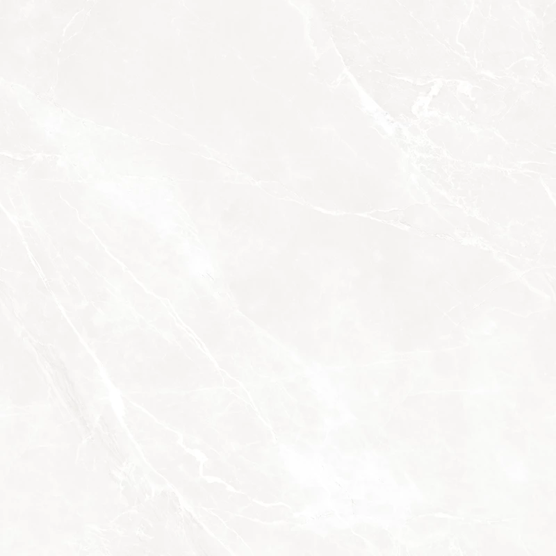 NETRA BLANCO(105 D Full)-1