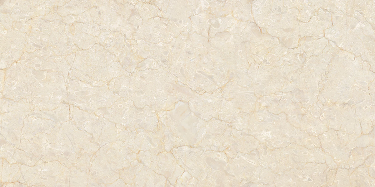 BOTTOCHINO CREMA_P2