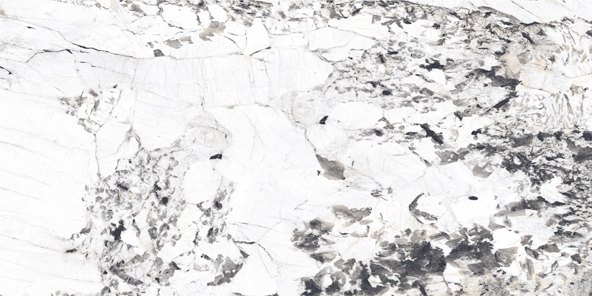 ALASKA 703 GREY_P1