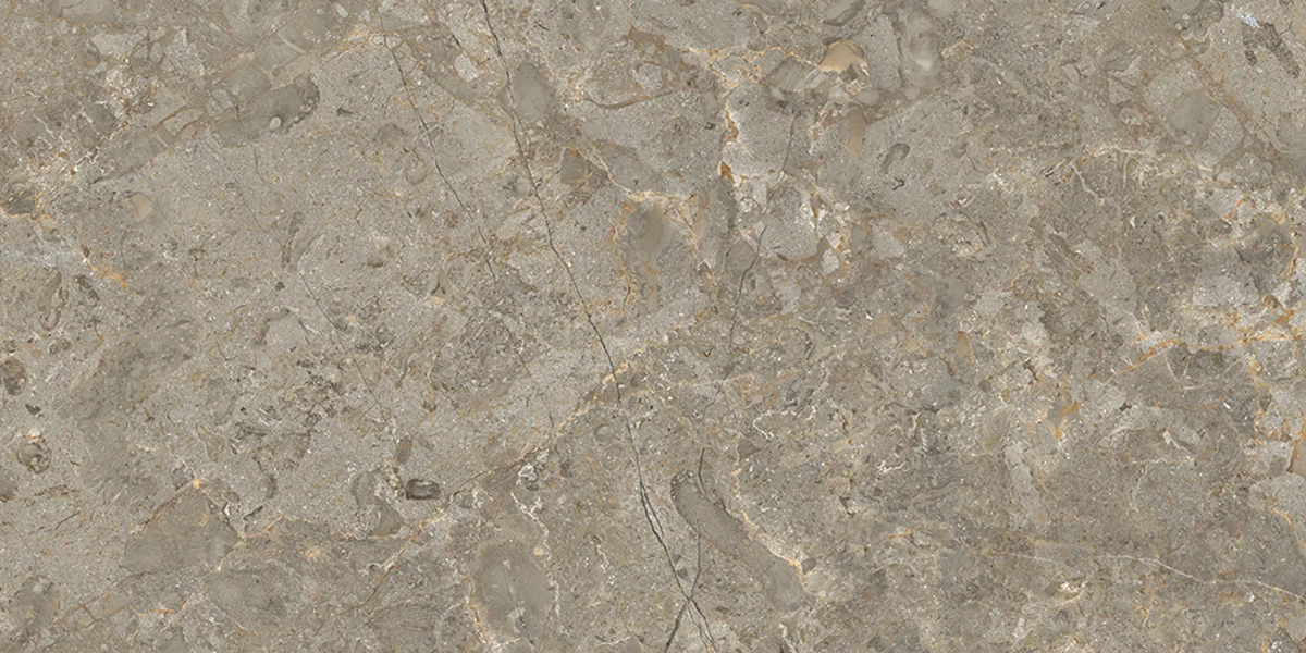 ASTONIA GRIS_P3