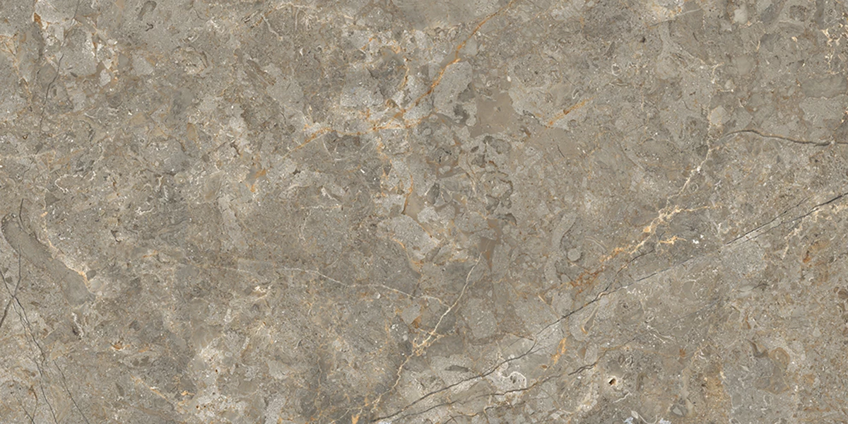 ASTONIA GRIS_P2