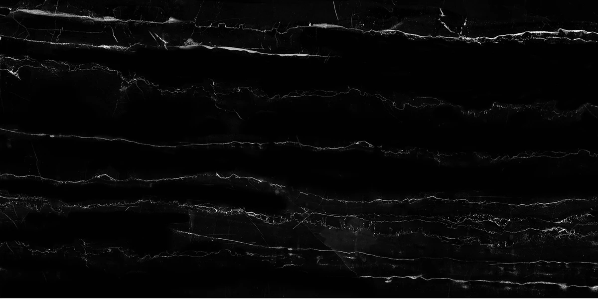 RAINFOREST BLACK_P2