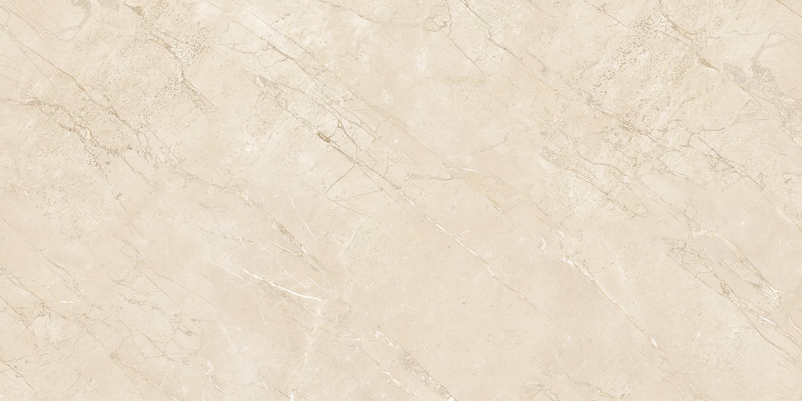 ROBINS IVORY-R2