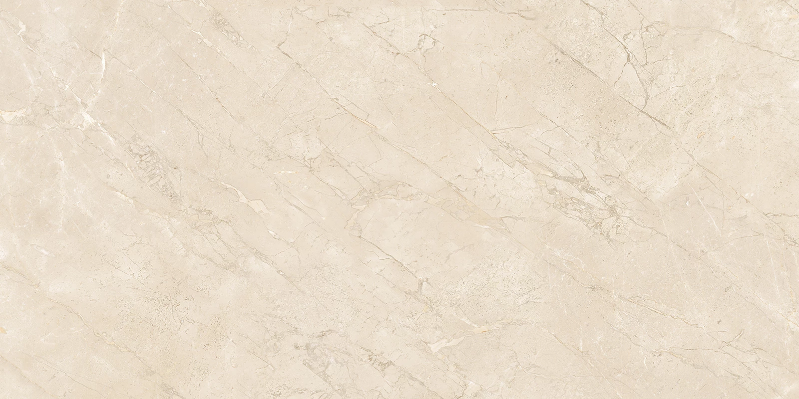 ROBINS IVORY-R3
