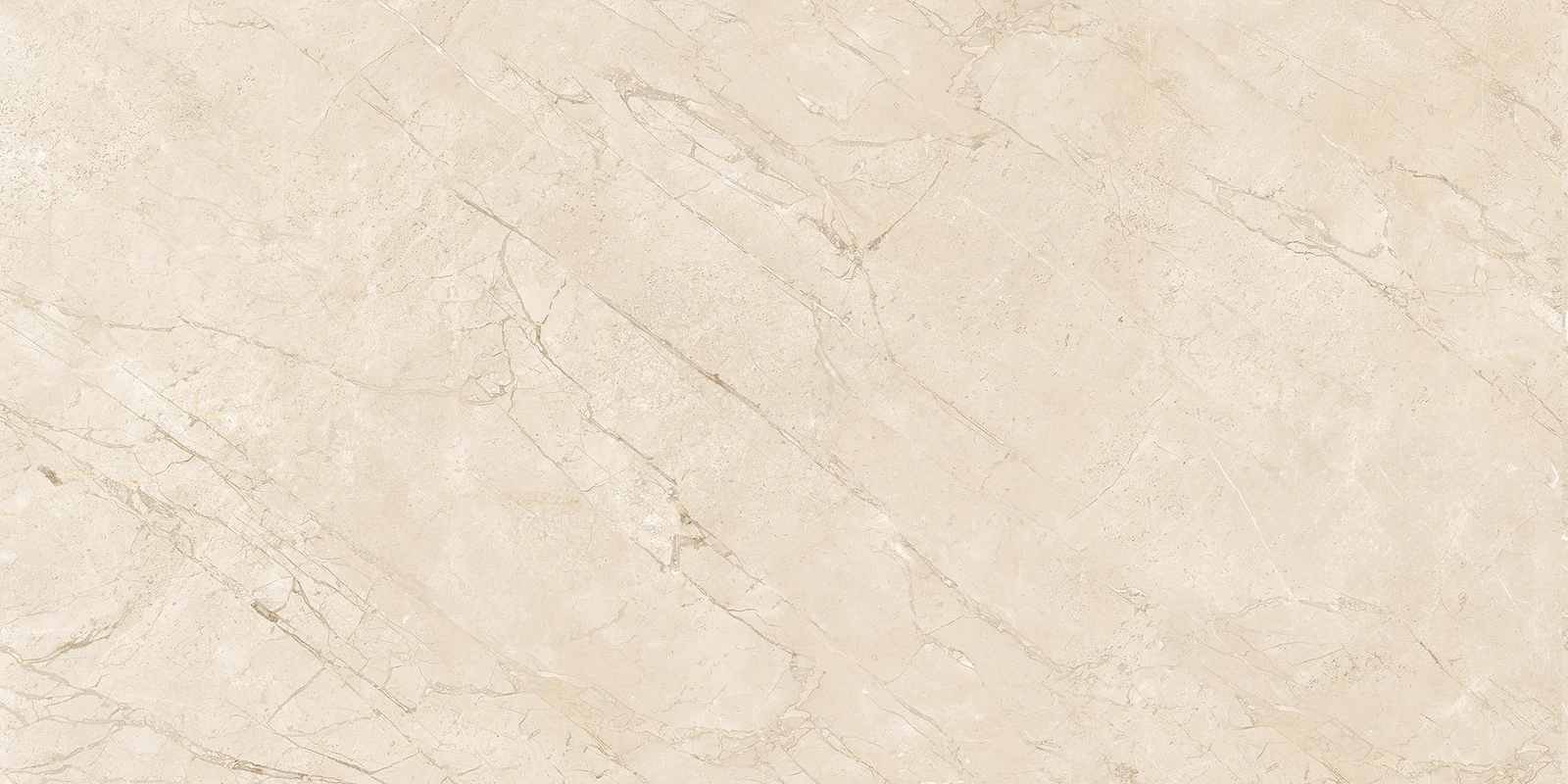 ROBINS IVORY-R4
