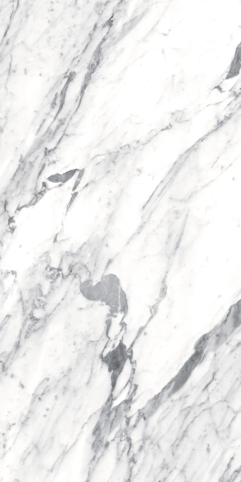 PIAZZA WHITE_04
