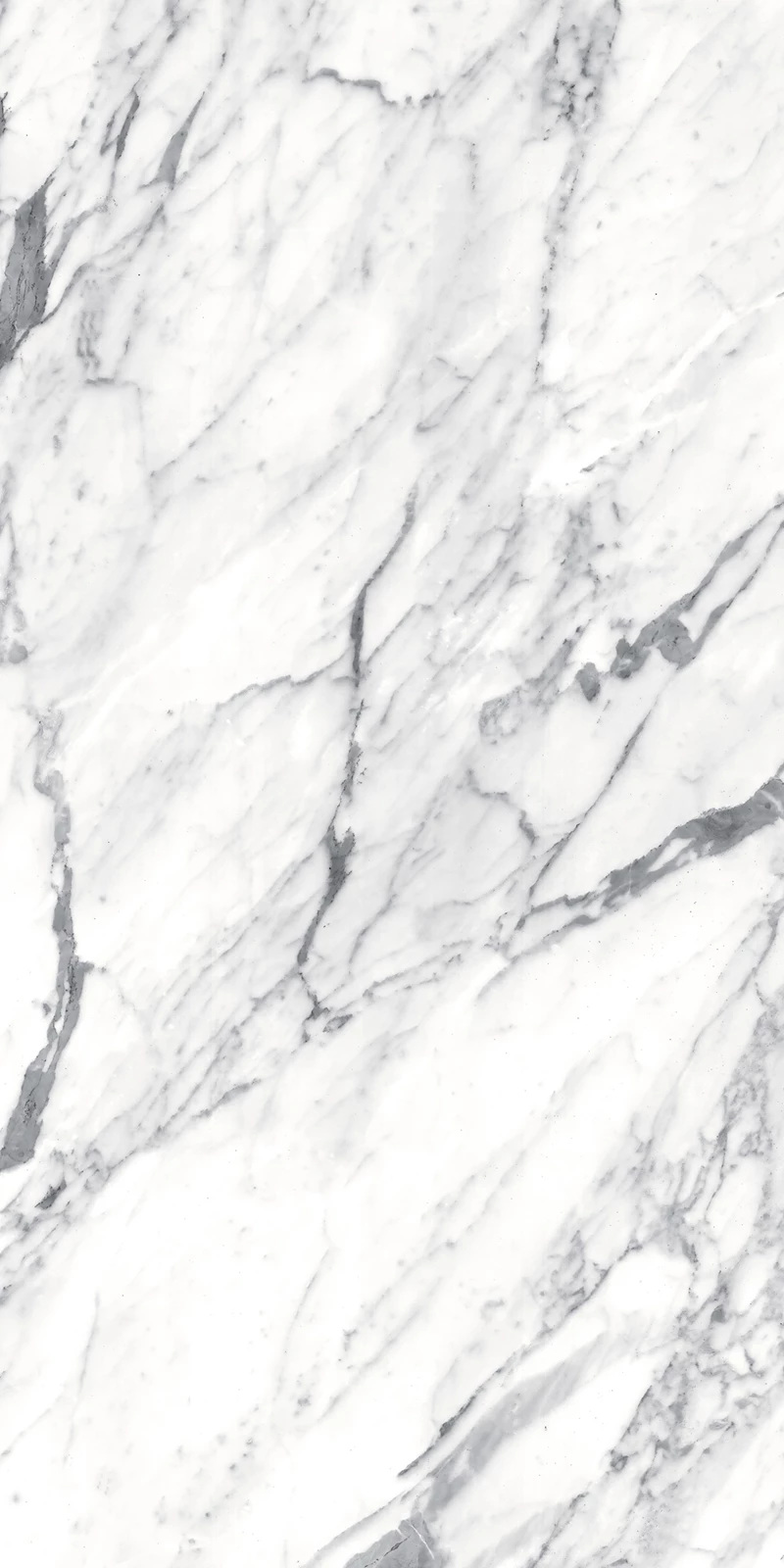 PIAZZA WHITE_03