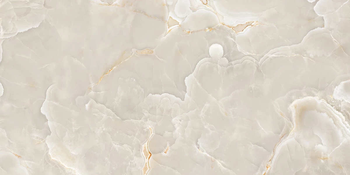 CANYON ONYX_P2