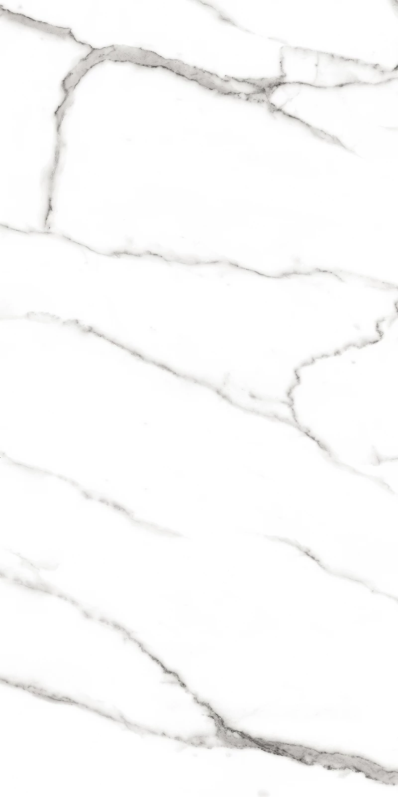 SEGESTA WHITE_02