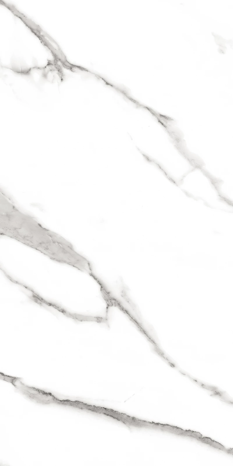 SEGESTA WHITE_04