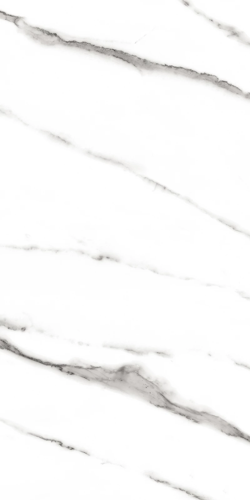 SEGESTA WHITE_03