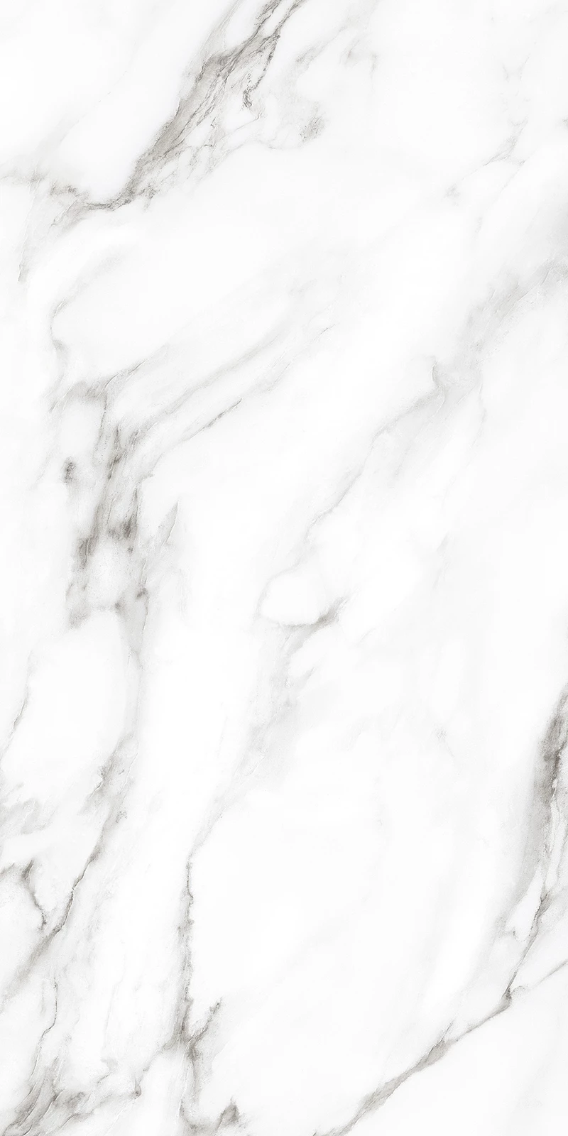 SONATA WHITE_02
