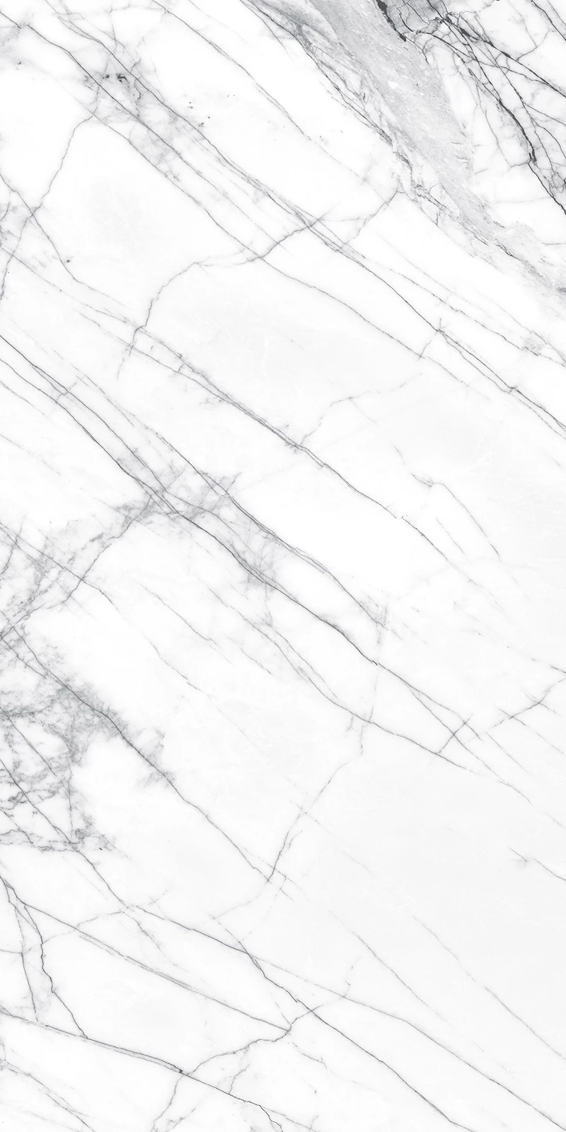 STATUARIO SILK_03