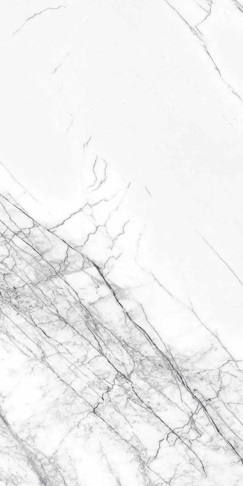 STATUARIO SILK_02