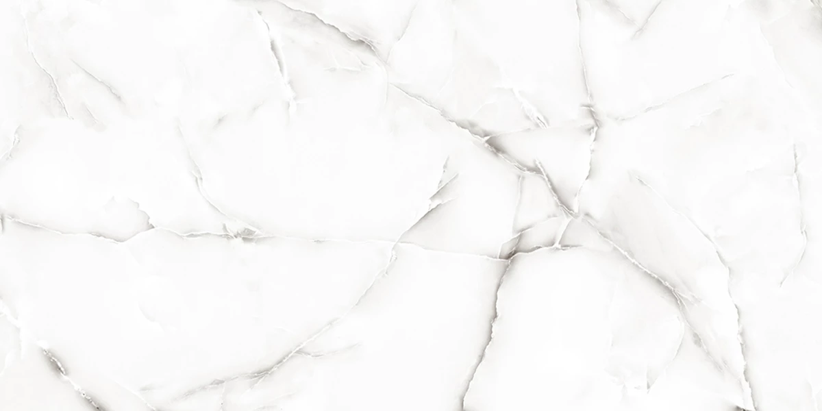 ONYX NESTER SILVER_P3