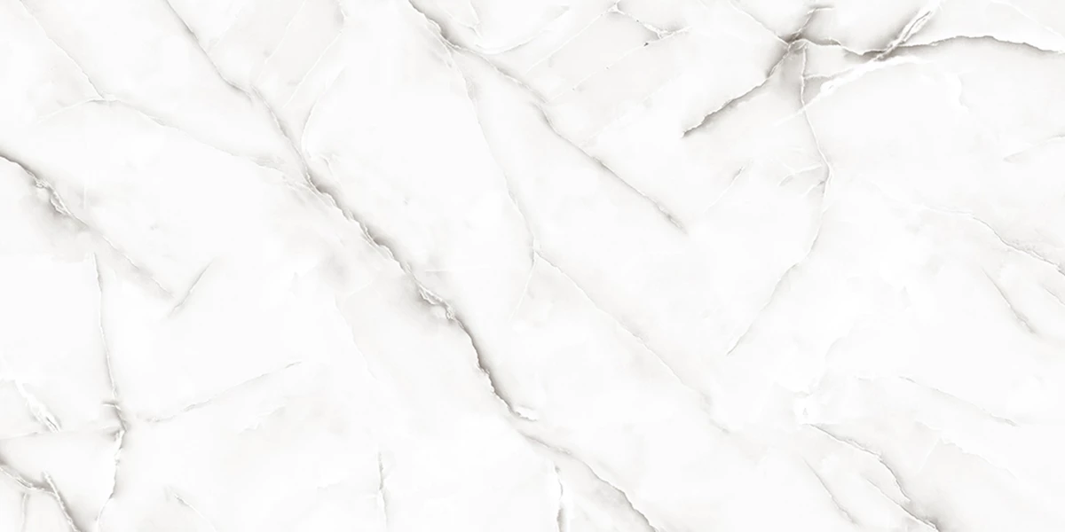ONYX NESTER SILVER_P2